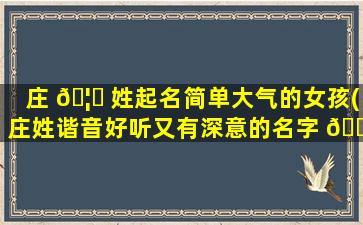 庄 🦆 姓起名简单大气的女孩(庄姓谐音好听又有深意的名字 🐧 )